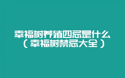 幸福树养殖四忌是什么（幸福树禁忌大全）-会东网