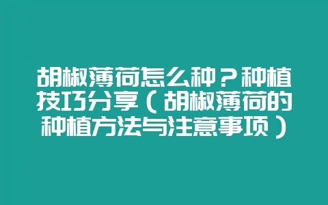 胡椒薄荷怎么种？种植技巧分享（胡椒薄荷的种植方法与注意事项）-会东网