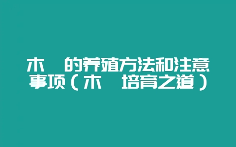 木槿的养殖方法和注意事项(木槿培育之道)-会东网