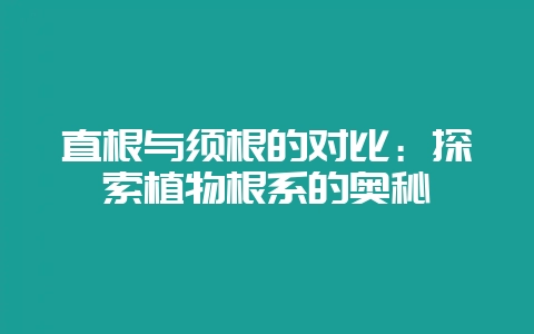 直根与须根的对比:探索植物根系的奥秘-会东网