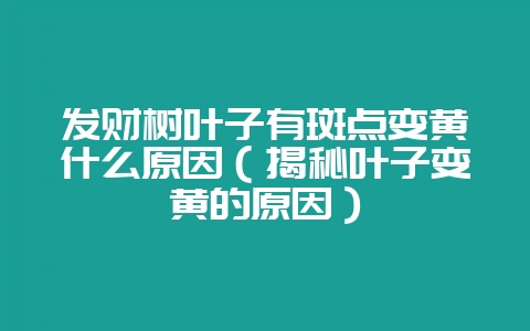 发财树叶子有斑点变黄什么原因（揭秘叶子变黄的原因）-会东网