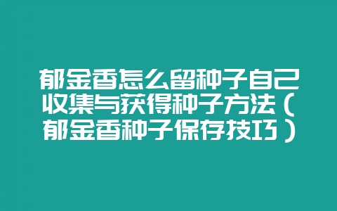 郁金香怎么留种子自己收集与获得种子方法（郁金香种子保存技巧）-会东网