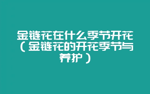 金链花在什么季节开花(金链花的开花季节与养护)-会东网