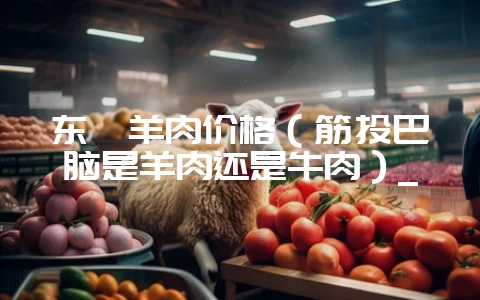 东莞羊肉价格(筋头巴脑是羊肉还是牛肉)_-会东网