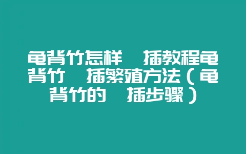 龟背竹怎样扦插教程龟背竹扦插繁殖方法(龟背竹的扦插步骤)-会东网