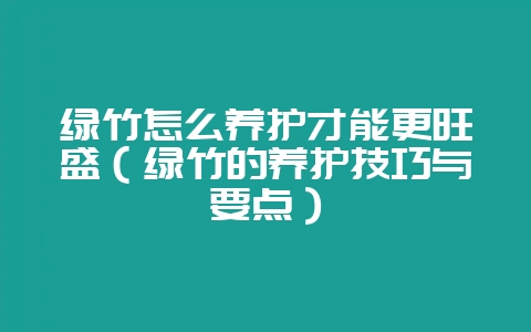 绿竹怎么养护才能更旺盛(绿竹的养护技巧与要点)-会东网