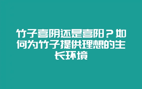 竹子喜阴还是喜阳？如何为竹子提供理想的生长环境-会东网