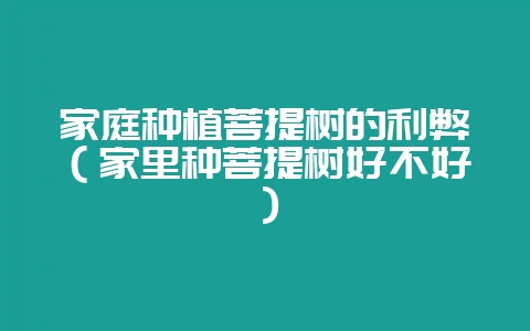 家庭种植菩提树的利弊（家里种菩提树好不好）-会东网