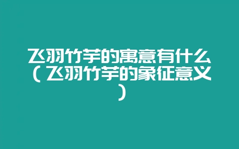 飞羽竹芋的寓意有什么(飞羽竹芋的象征意义)-会东网