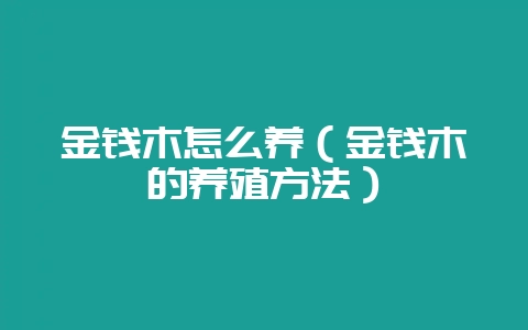 金钱木怎么养(金钱木的养殖方法)-会东网