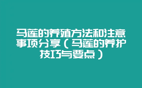 马莲的养殖方法和注意事项分享（马莲的养护技巧与要点）-会东网