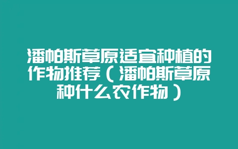 潘帕斯草原适宜种植的作物推荐(潘帕斯草原种什么农作物)-会东网
