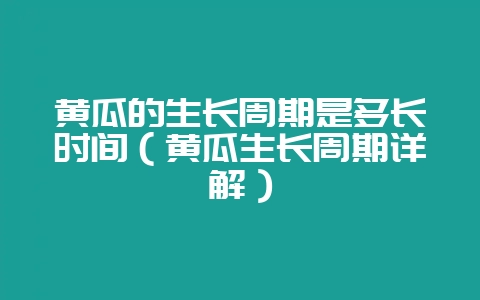 黄瓜的生长周期是多长时间(黄瓜生长周期详解)-会东网