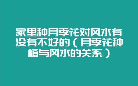 家里种月季花对风水有没有不好的（月季花种植与风水的关系）-会东网