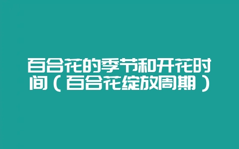 百合花的季节和开花时间（百合花绽放周期）-会东网