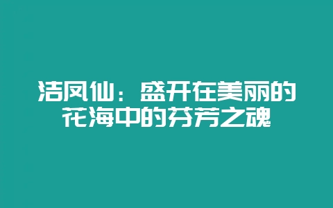 洁凤仙：盛开在美丽的花海中的芬芳之魂-会东网