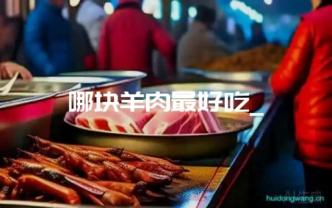 哪块羊肉最好吃_-会东网