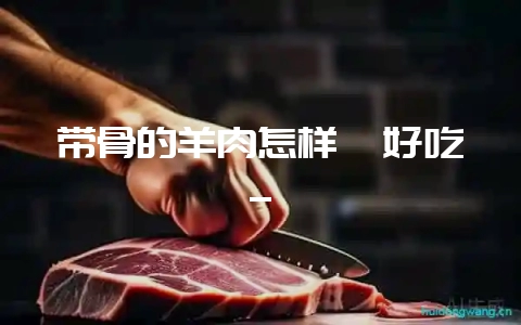 带骨的羊肉怎样炖好吃_插图 带骨的羊肉怎样炖好吃_插图