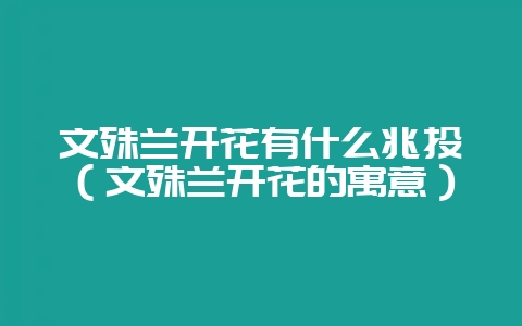 文殊兰开花有什么兆头（文殊兰开花的寓意）-会东网