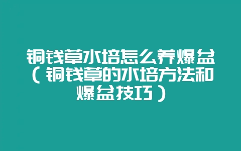 铜钱草水培怎么养爆盆(铜钱草的水培方法和爆盆技巧)-会东网