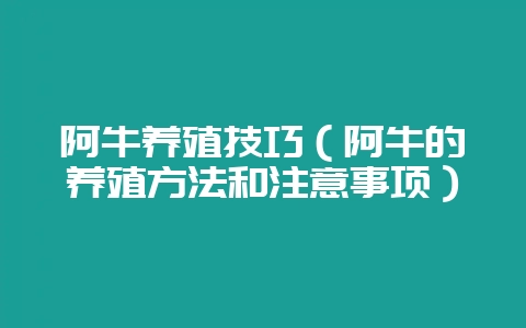 阿牛养殖技巧(阿牛的养殖方法和注意事项)-会东网