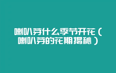 喇叭芽什么季节开花（喇叭芽的花期揭秘）-会东网