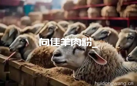 向佳羊肉粉_插图 向佳羊肉粉_插图