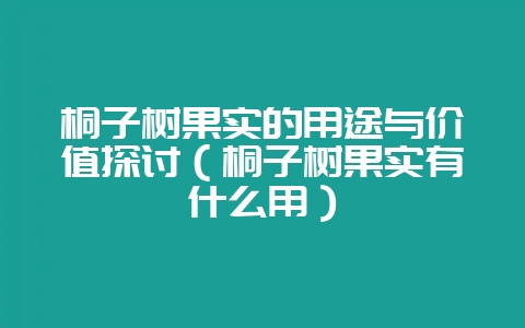 桐子树果实的用途与价值探讨（桐子树果实有什么用）-会东网