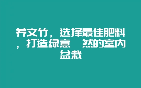 养文竹，选择最佳肥料，打造绿意盎然的室内盆栽-会东网