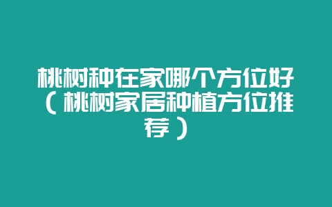 桃树种在家哪个方位好（桃树家居种植方位推荐）-会东网