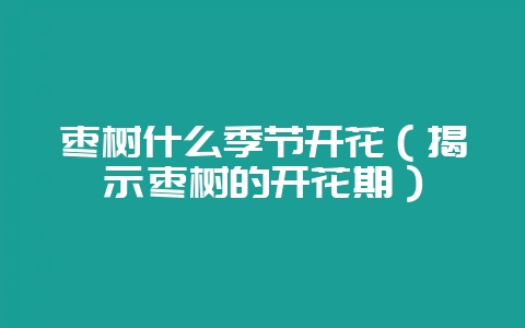 枣树什么季节开花（揭示枣树的开花期）-会东网