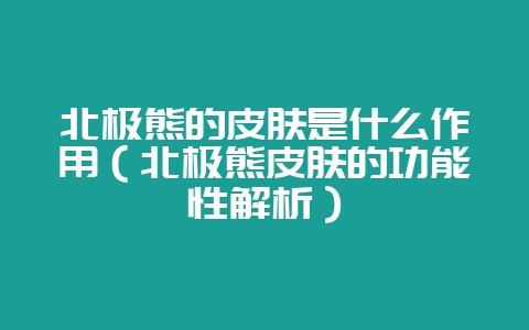 北极熊的皮肤是什么作用（北极熊皮肤的功能性解析）-会东网