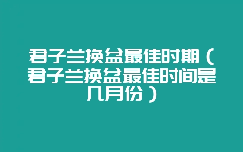 君子兰换盆最佳时期（君子兰换盆最佳时间是几月份）-会东网