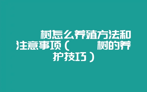 麒麟树怎么养殖方法和注意事项(麒麟树的养护技巧)-会东网