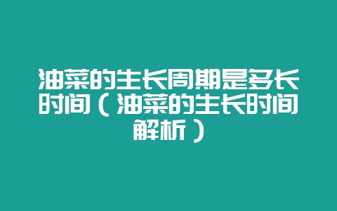 油菜的生长周期是多长时间（油菜的生长时间解析）-会东网