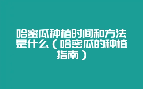 哈蜜瓜种植时间和方法是什么(哈密瓜的种植指南)-会东网