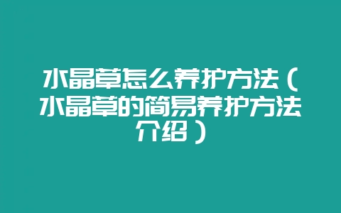 水晶草怎么养护方法（水晶草的简易养护方法介绍）-会东网