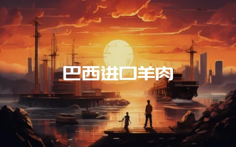 巴西进口羊肉-会东网