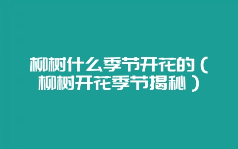 柳树什么季节开花的(柳树开花季节揭秘)-会东网
