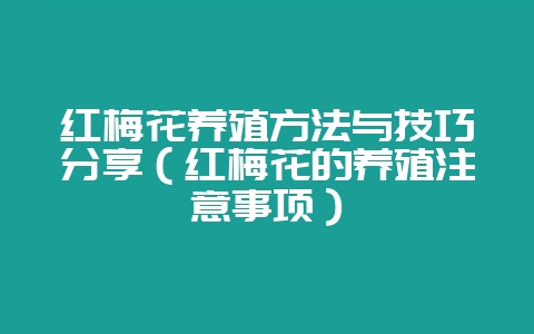红梅花养殖方法与技巧分享(红梅花的养殖注意事项)-会东网