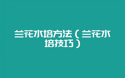 兰花水培方法（兰花水培技巧）-会东网