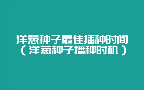 洋葱种子最佳播种时间（洋葱种子播种时机）-会东网