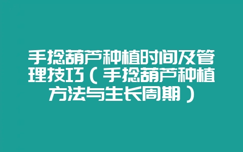 手捻葫芦种植时间及管理技巧（手捻葫芦种植方法与生长周期）-会东网