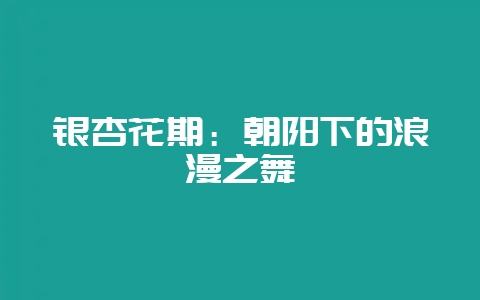 银杏花期:朝阳下的浪漫之舞-会东网