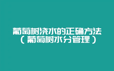 葡萄树浇水的正确方法（葡萄树水分管理）-会东网