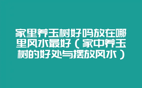 家里养玉树好吗放在哪里风水最好（家中养玉树的好处与摆放风水）-会东网