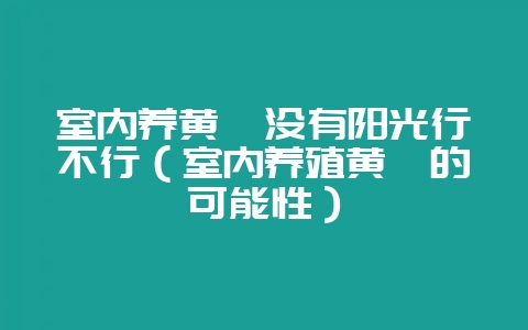 室内养黄鳝没有阳光行不行（室内养殖黄鳝的可能性）-会东网