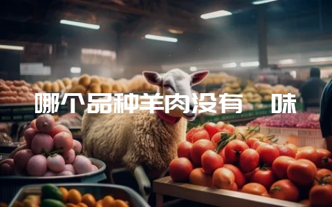 哪个品种羊肉没有膻味-会东网