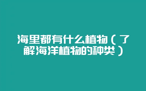 海里都有什么植物（了解海洋植物的种类）-会东网
