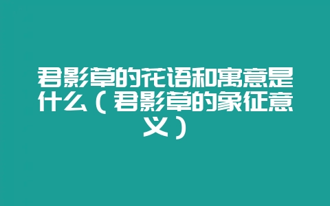 君影草的花语和寓意是什么（君影草的象征意义）-会东网